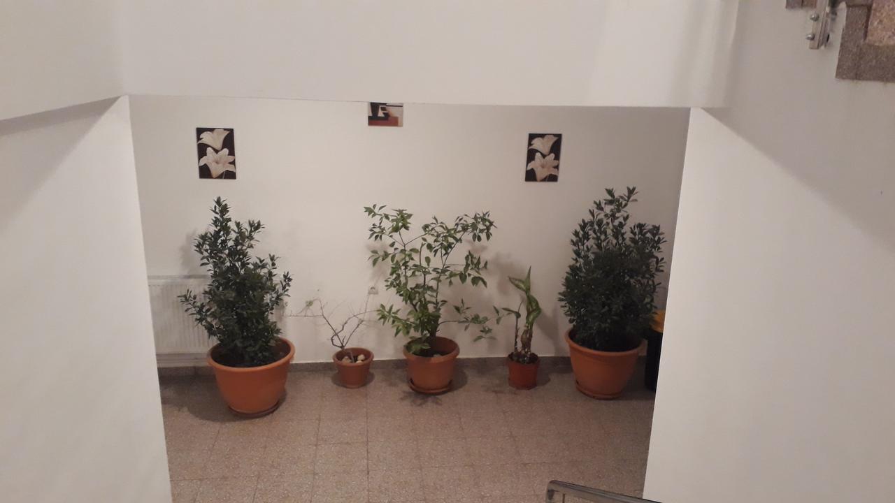 克拉奥华 Casa Dobrescu Centura De Nord酒店 外观 照片